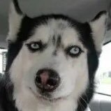 Profile Picture of 岁月无痕-nothing Left By Ages (@simon_xu72) on Twitter