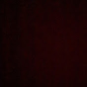 Profile Picture of Herbert Gomez (@herbertgomez2761) on Youtube