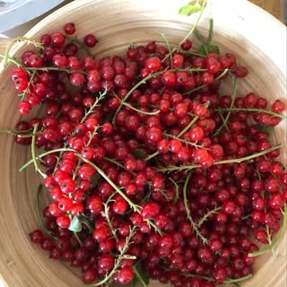 Profile Picture of Julia Kamm (@juliakamm_) on Instagram