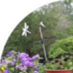 Profile Picture of Marilyn Casteel (@marilyncasteel49) on Instagram