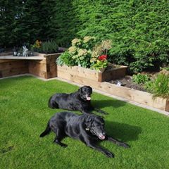 Profile Picture of Alan Hepple (@alanhepple) on Tiktok