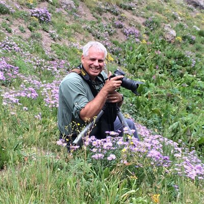 Profile Picture of David Artley (@artleydd) on Twitter