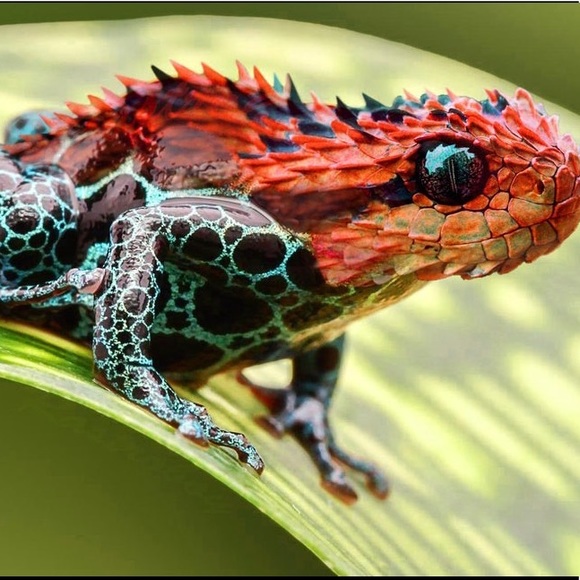 Profile Picture of Zack Pherson (@notzck) on Poshmark