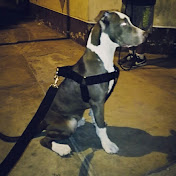 Profile Picture of Sebastian Zegarra (@sebastianzegarra6025) on Youtube