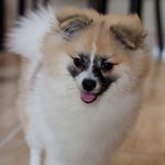 Profile Picture of Aaron Bacon (@aaronbacon11_06) on Instagram