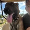 Profile Picture of David Lanier (@@goose1978) on Tiktok