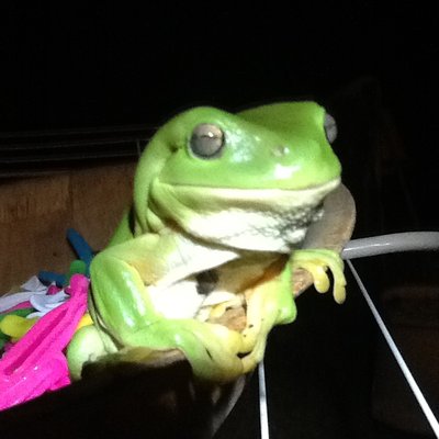 Profile Picture of David Sawle (@SawleDavid) on Twitter