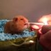 Profile Picture of Richard Trimmer (@richard.trimmer.180) on Facebook