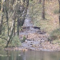 Profile Picture of Michael Power (@michael-power-114) on Quora