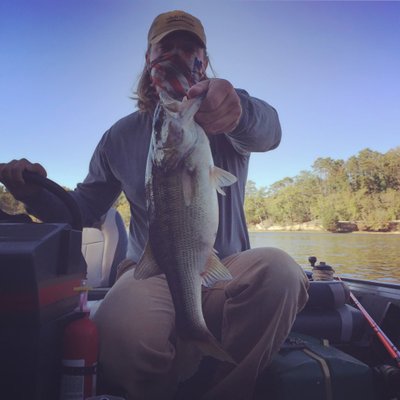 Profile Picture of Blake Nethery (@BlakeNethery) on Twitter