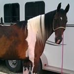 Profile Picture of Jackie McFerrin Pointer (@jackie.m.pointer) on Instagram