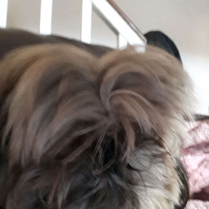 Profile Picture of Deborah Higgins (@deborahhiggins2) on Tiktok