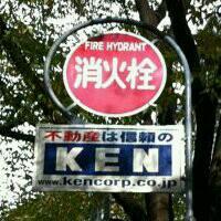 Profile Picture of Ken Mui (@296b739442d5456) on Twitter