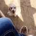 Profile Picture of Reese Raelynn Grigsby (@raelynngrigsby) on Pinterest