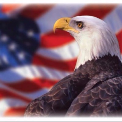 Profile Picture of Gary Abraham (@hotairman3601) on Twitter