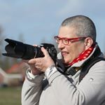 Ursula Schindelhauer - Instagram Profile Picture of Ursula Schindelhauer (@ditzumblog.de) on Instagram