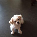 Profile Picture of Sylvia Visser (@visser_sylvia) on Instagram