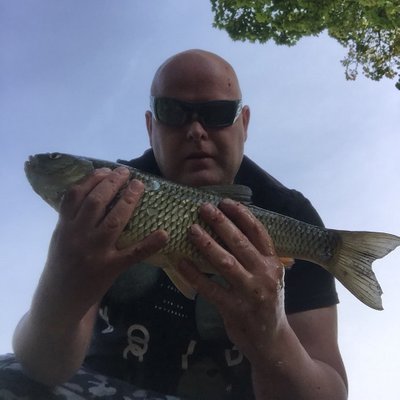 Profile Picture of Steve (@stevegregson_) on Twitter