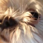 Profile Picture of Gavin Hone (@weird_person30) on Instagram
