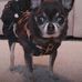Profile Picture of Joyce Adkisson (@joyce.adkisson.12) on Facebook