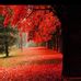 Profile Picture of Manesh Mathew (@manesh.mathew.583) on Facebook