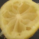 Profile Picture of Thomas Raffaele (@yoyobro64) on Instagram