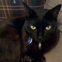 Profile Picture of Collin Bentley (@collin-bentley-7) on Quora