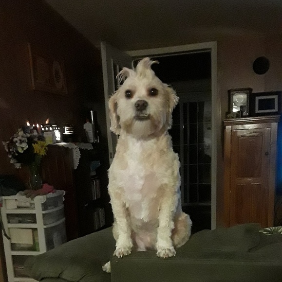 Profile Picture of Terry Hammonds (@clawpaw) on Poshmark