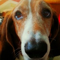 Profile Picture of Rebecca Kopp (@rebecca-kopp-2) on Quora