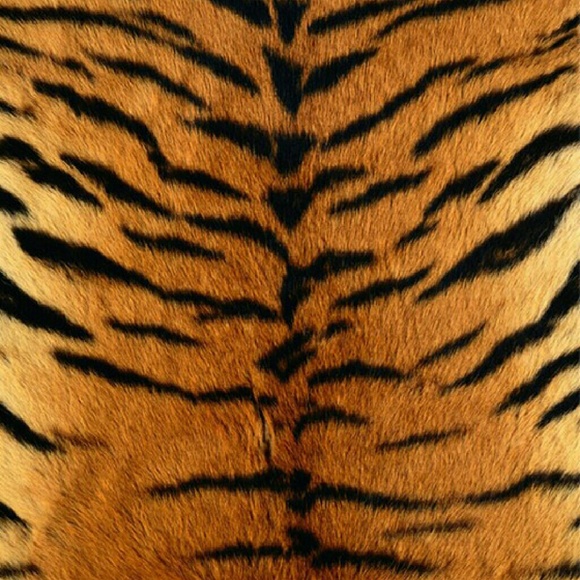 Profile Picture of Tonya Riggins (@moon2013) on Poshmark