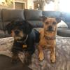 Profile Picture of Donna Shields (@@donnashields68) on Tiktok