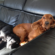 Profile Picture of Pluto-Lisa (@pluto-lisa2808) on Youtube