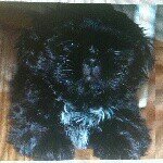 Profile Picture of Maurice Walters (@mauriceaywaltvd) on Instagram