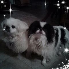 Profile Picture of Loretta Moser (@@user38084694543250) on Tiktok
