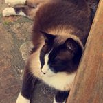 Hannah C. - Instagram Profile Picture of Hannah C. (@hannah_cory_1) on Instagram