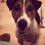 Profile Picture of Darwin Mulcahy (Darwin) (@darwin.mulcahy) on Facebook