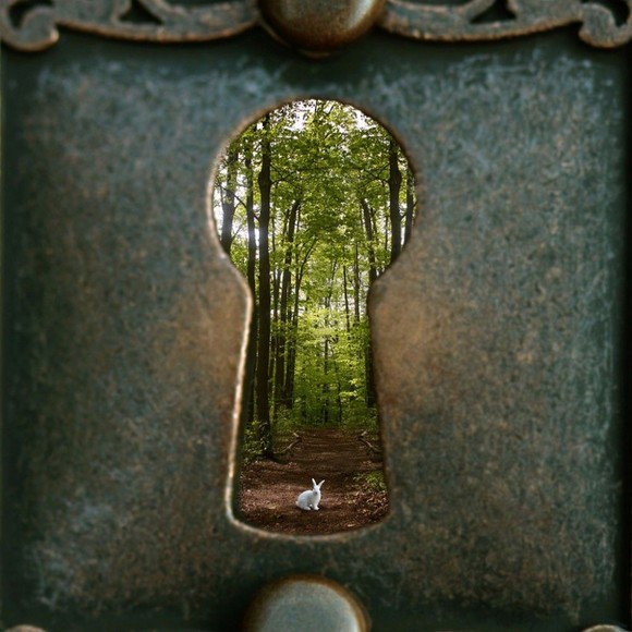 Profile Picture of Lily Gutteridge (@mkuve1cth636) on Poshmark