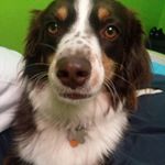 Profile Picture of Simon Paul Art Garfunkel (@simonpaulart) on Instagram