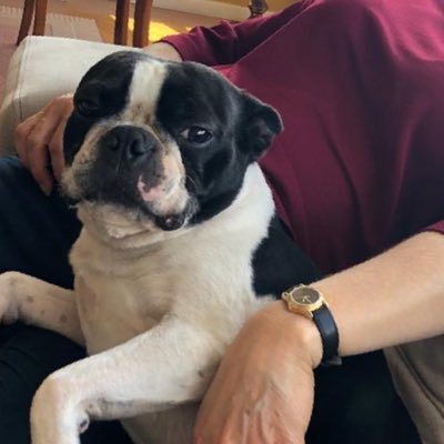 Profile Picture of Sixto Alvarado Morán (@Sixtoalvaradomo) on Twitter