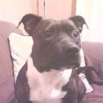 Profile Picture of Ray Lucas Plunkett (@rayp1892) on Instagram