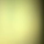 Profile Picture of Joey David Escobar (@joey_escobar2020) on Instagram