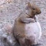 Profile Picture of Tony Lennon Bellamy (@tony_mcfly_00) on Instagram