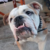 Profile Picture of Felipe Barron (@felipebarron5574) on Youtube