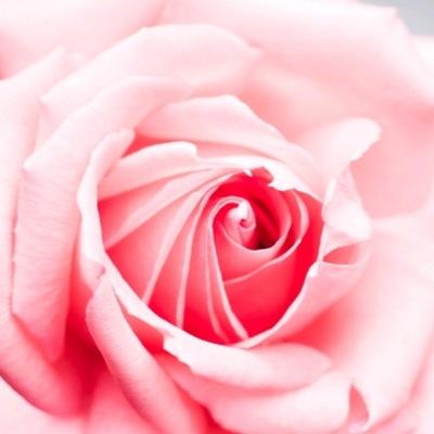 Profile Picture of Jacky Taylor (@JackyTaylor9) on Twitter