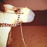 Profile Picture of Mohammed Alhaddad (@mo.alhaddad) on Myspace