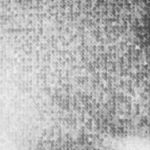 Profile Picture of Kyle Wiseman (@kyle_j_wiseman) on Instagram