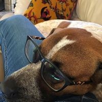 Nancy Santos - Quora Profile Picture of Nancy Santos (@nancy-santos-25) on Quora