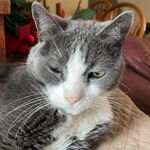 Profile Picture of Cliff Simpson (@farmercliff2) on Instagram