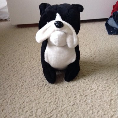 Profile Picture of Cody Joyce (@The_Mega_Doge) on Twitter