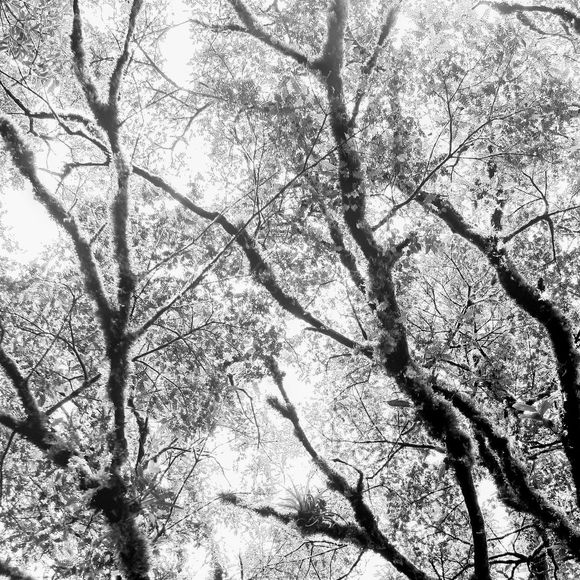 Todd Gavin - Poshmark Profile Picture of Todd Gavin (@toddrgavin) on Poshmark